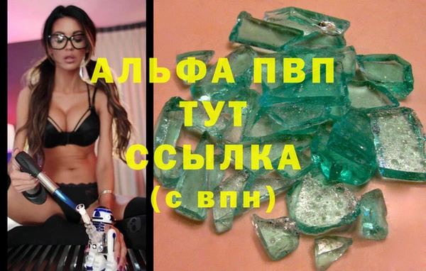 шишки Верхний Тагил