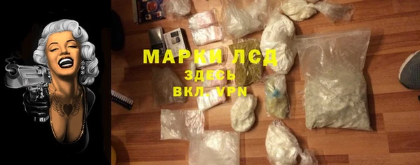 шишки Верхний Тагил