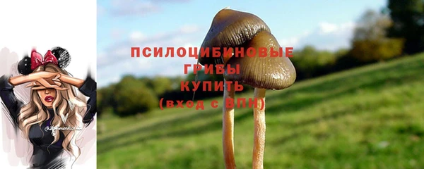 шишки Верхний Тагил