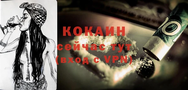 шишки Верхний Тагил
